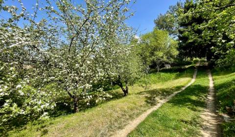 Kaufen Garten, Garten, Trenčín, Slowakei