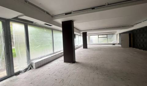 Mieten Geschäftsräumlichkeiten, Geschäftsräumlichkeiten, Račianske mýt