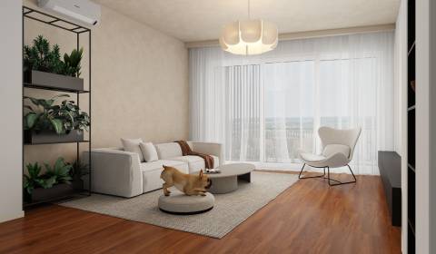 Kaufen 3-Zimmer-Wohnung, 3-Zimmer-Wohnung, Dunajská Streda, Slowakei