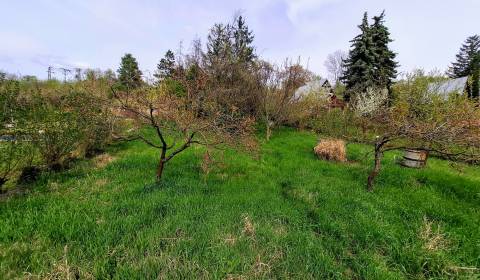 Kaufen Baugrundstück Erholung, Baugrundstück Erholung, Senec, Slowakei