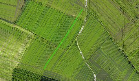 Kaufen landwirtsch. Grundstücke, landwirtsch. Grundstücke, Vinohradská