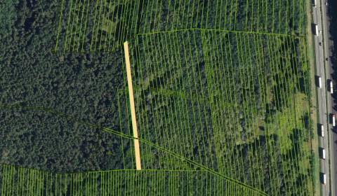 Kaufen landwirtsch. Grundstücke, landwirtsch. Grundstücke, Malacky, Sl