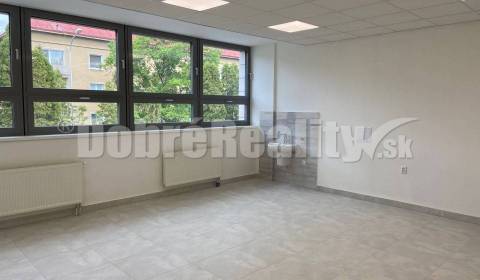Mieten Geschäftsräumlichkeiten, Geschäftsräumlichkeiten, Družstevná, R