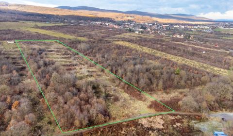 Kaufen Baugrund, Baugrund, Pezinok, Slowakei