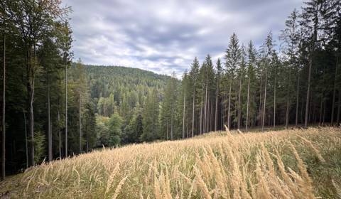 Kaufen landwirtsch. Grundstücke, landwirtsch. Grundstücke, Trenčín, Sl