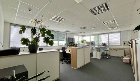 Büros, Gagarinova, zu vermieten, Bratislava - Ružinov, Slowakei
