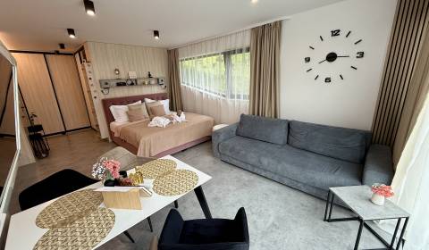 Komplett eingerichtetes Apartment mit Terrasse in Hrabovo