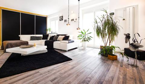 Kaufen 4-Zimmer-Wohnung, 4-Zimmer-Wohnung, Černockého, Bratislava - Ra