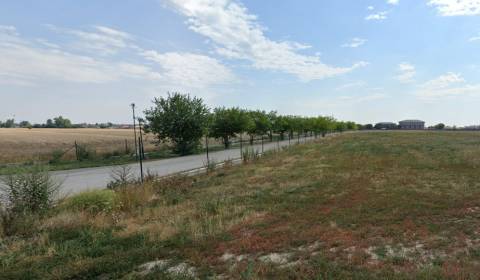 Kaufen Gebäude, Gebäude, Senec, Slowakei