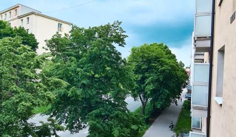 Mieten 2-Zimmer-Wohnung, 2-Zimmer-Wohnung, Rastislavova, Košice - Juh,
