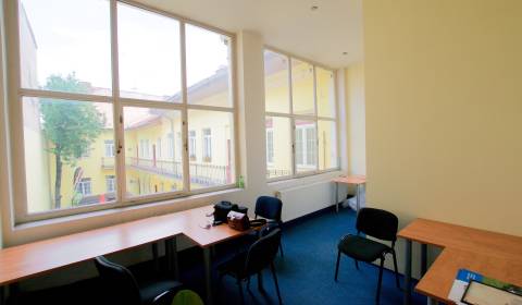 Mieten Geschäftsräumlichkeiten, Geschäftsräumlichkeiten, Rooseveltova,