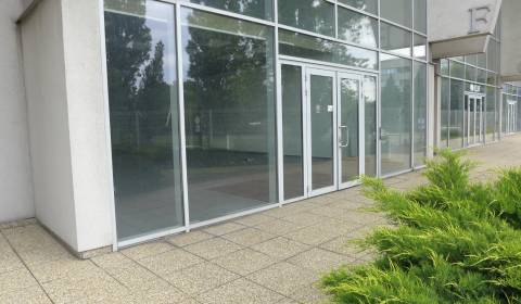 Mieten Lager und Hallen, Lager und Hallen, Bratislava - Nové Mesto, Sl