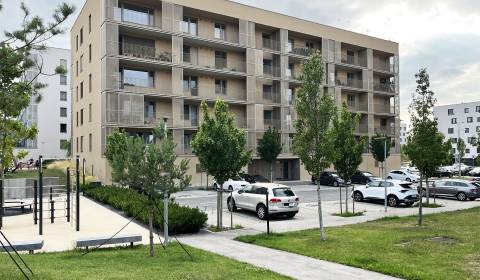 Mieten 2-Zimmer-Wohnung, 2-Zimmer-Wohnung, Jána Langoša, Bratislava - 