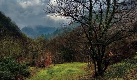 Kaufen landwirtsch. Grundstücke, landwirtsch. Grundstücke, Humenné, Sl