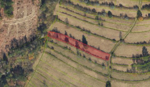 Kaufen landwirtsch. Grundstücke, landwirtsch. Grundstücke, Brezno, Slo