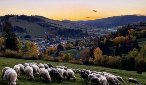 Kaufen landwirtsch. Grundstücke, landwirtsch. Grundstücke, Brezno, Slo