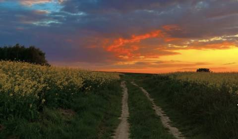 Kaufen landwirtsch. Grundstücke, landwirtsch. Grundstücke, Lučenec, Sl