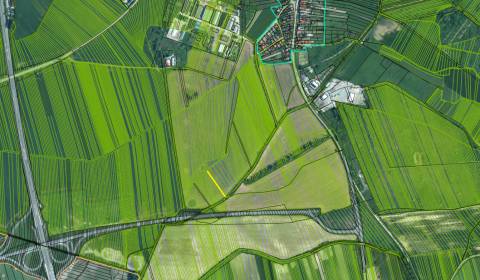 Kaufen landwirtsch. Grundstücke, landwirtsch. Grundstücke, Malacky, Sl