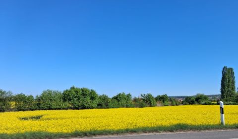 Kaufen landwirtsch. Grundstücke, landwirtsch. Grundstücke, Malacky, Sl