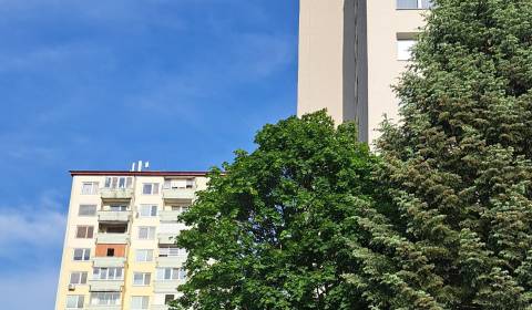 Kaufen 3-Zimmer-Wohnung, 3-Zimmer-Wohnung, Levice, Slowakei