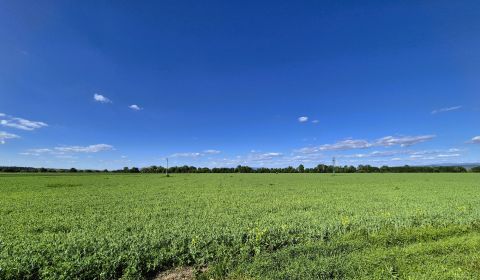 Kaufen landwirtsch. Grundstücke, landwirtsch. Grundstücke, Topoľčany, 