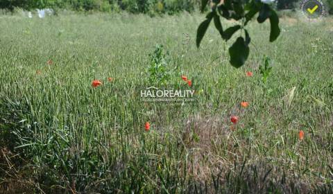 Kaufen Baugrund, Levice, Slowakei