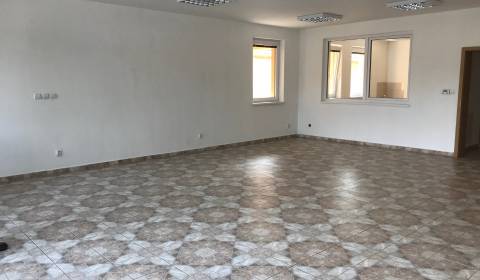 Mieten Geschäftsräumlichkeiten, Geschäftsräumlichkeiten, Jesenského, P
