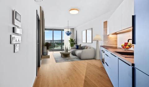 Kaufen 2-Zimmer-Wohnung, 2-Zimmer-Wohnung, Pribinova, Bratislava - Ruž