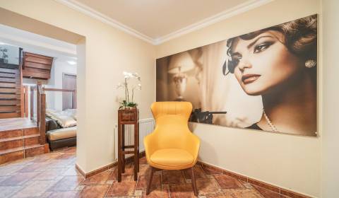 Kaufen Gebäude, Gebäude, Ľudové námestie, Bratislava - Nové Mesto, Slo