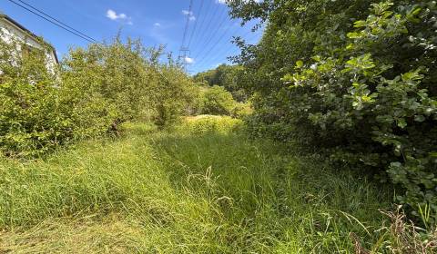 Kaufen Garten, Garten, Myslavská, Košice-okolie, Slowakei