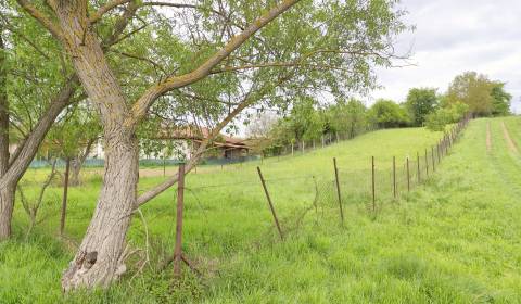 Kaufen Baugrund, Baugrund, Jarková, Prešov, Slowakei