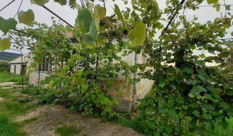 Kaufen Einfamilienhaus, Einfamilienhaus, Levice, Slowakei