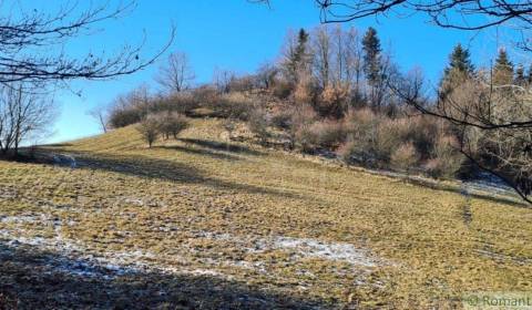 Kaufen Garten, Garten, Žarnovica, Slowakei