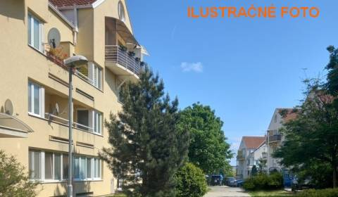 Suche 3-Zimmer-Wohnung, 3-Zimmer-Wohnung, Nitra, Slowakei