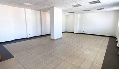 Mieten Geschäftsräumlichkeiten, Geschäftsräumlichkeiten, Dlabača, Žili