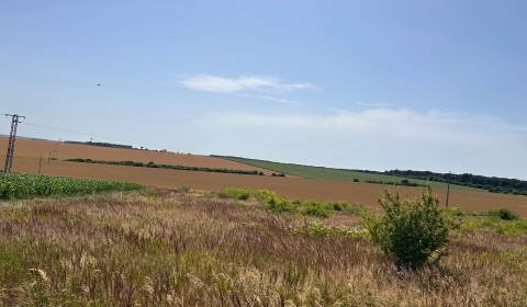 Kaufen Baugrund, Baugrund, Nitra, Slowakei