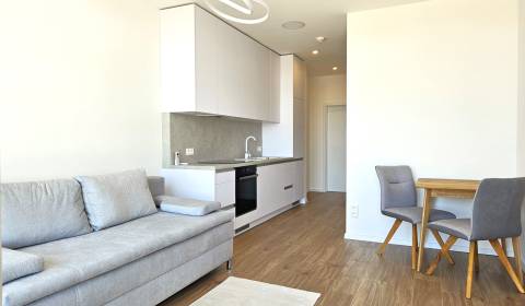Mieten 1-Zimmer-Wohnung, 1-Zimmer-Wohnung, Rožňavská, Bratislava - Nov