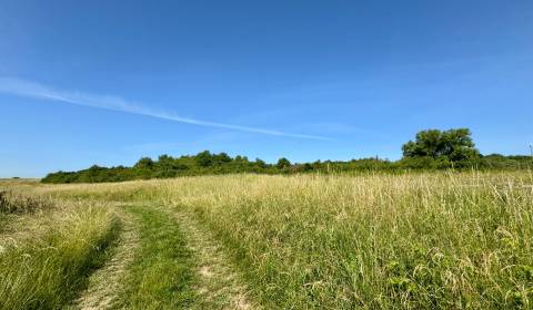 Kaufen Grundstücke für Aufbau, Grundstücke für Aufbau, Kúty, Prešov, S