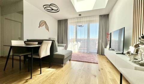 Kaufen 2-Zimmer-Wohnung, 2-Zimmer-Wohnung, Cvernovka, Bratislava - Ruž