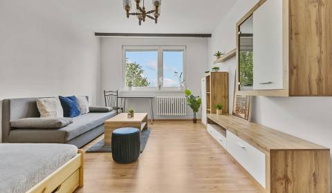 BA/PETRŽALKA-Möblierte 1-Zimmer-Wohnung in toller Lage zu vermieten