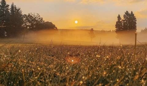 Kaufen landwirtsch. Grundstücke, landwirtsch. Grundstücke, Snina, Slow