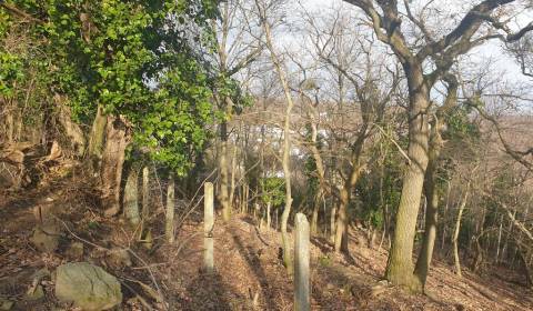 Kaufen Baugrund, Baugrund, Frankovská, Bratislava - Nové Mesto, Slowak