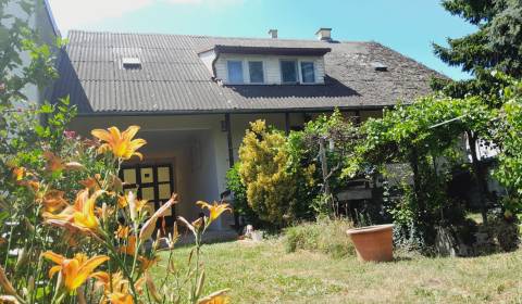 Potzneusiedl, Großes Landhaus- Naturparadies an der Leitha