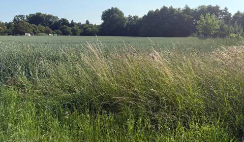 Kaufen Baugrund, Baugrund, Topoľčany, Slowakei