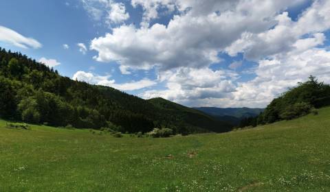 Kaufen landwirtsch. Grundstücke, landwirtsch. Grundstücke, Prievidza,