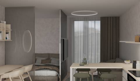 Mieten 1-Zimmer-Wohnung, 1-Zimmer-Wohnung, Bottova, Bratislava - Staré
