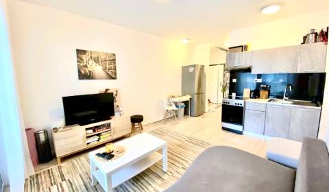 Mieten 1-Zimmer-Wohnung, 1-Zimmer-Wohnung, Zuzany Chalupovej, Bratisla