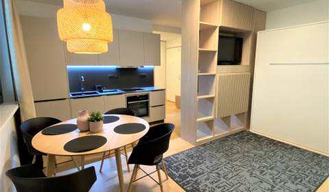 Mieten 1-Zimmer-Wohnung, 1-Zimmer-Wohnung, Radlinského, Bratislava - S