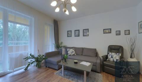Mieten 1-Zimmer-Wohnung, 1-Zimmer-Wohnung, Antolská, Bratislava - Petr