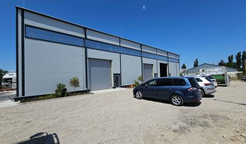 Mieten Geschäftsräumlichkeiten, Geschäftsräumlichkeiten, Domové role, 